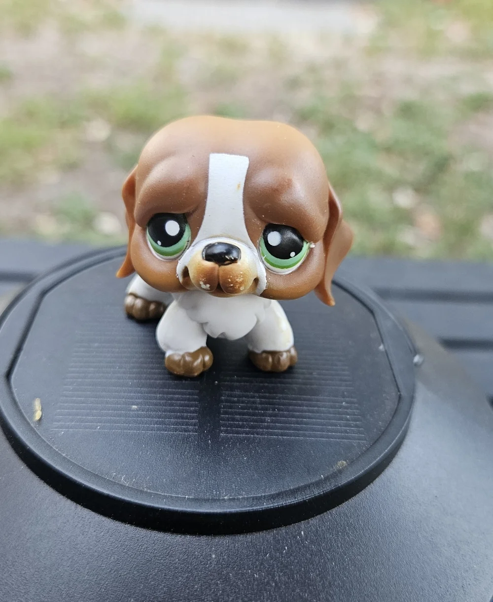 LPS Hasbro #335 Brown/White Saint Bernard Dog Green Eyes 2006 G1‎ Authentic